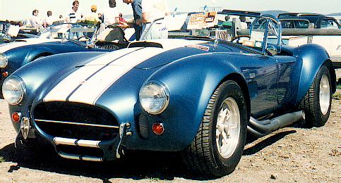 cobra.JPG (43049 bytes)