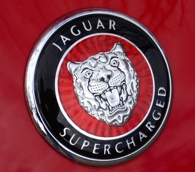 jaguar.jpg (72119 bytes)